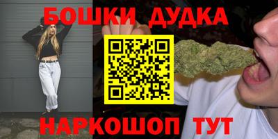 индика Будённовск