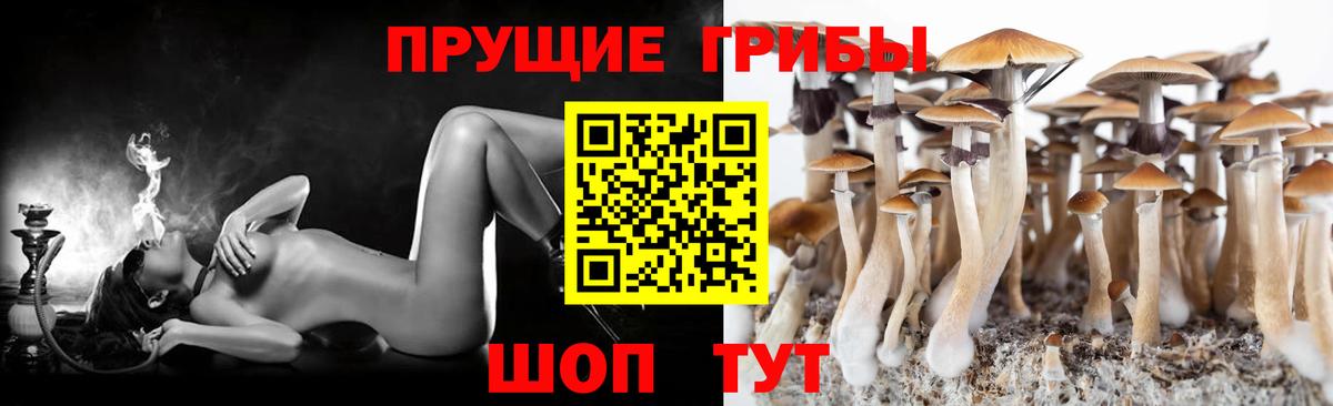 Киржач  как найти   Вход с VPN  Галлюциногенные грибы ЛСД 